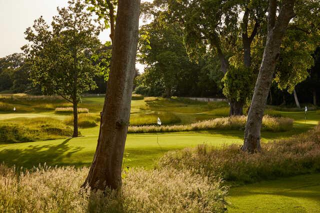 Golf at Goodwood - The Copse Course - photo 4