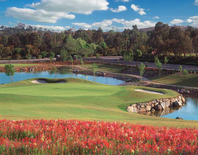 Reidy Creek Golf Course - photo 2