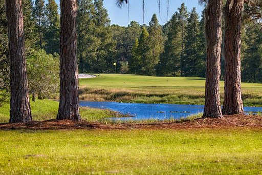 The Eagles Golf Club - Forest - photo 7