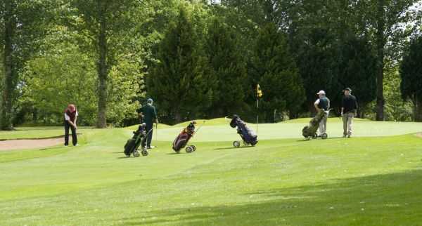 Rathdowney Golf Club - photo 3