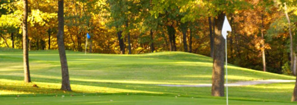 Abilene Golf and Fitness - photo 2