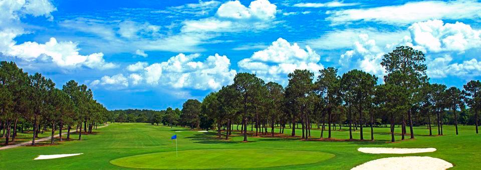 Heron Lakes Country Club - photo 4