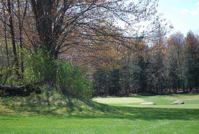Blue Stone Golf Course - photo 3