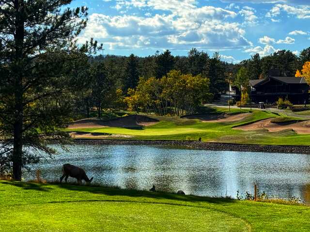 Fox Acres