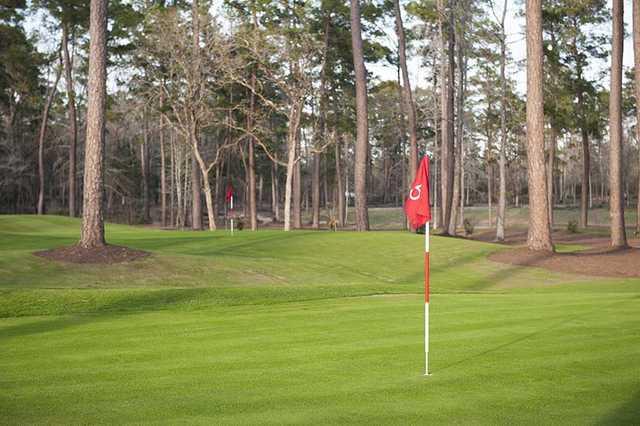 Bluejack National - The Playgrounds - photo 3