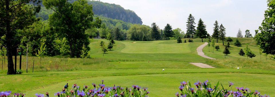 Mount Nemo Golf Club - photo 5