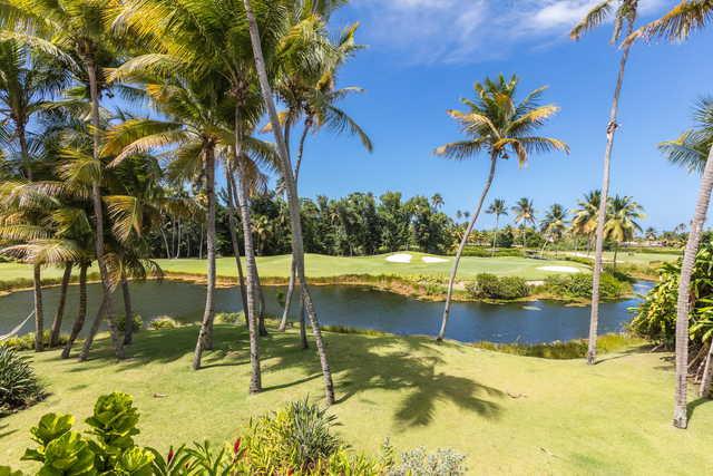 Bahia Beach Resort & Golf Club - photo 4