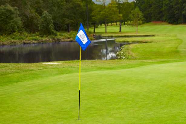 Stonehenge Golf & Country Club - photo 3