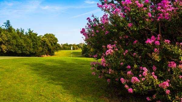 Earlywine Golf Course - photo 1