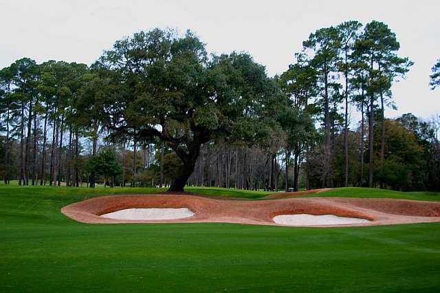 Caledonia Golf & Fish Club - photo 7