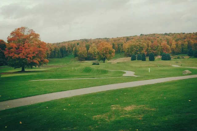 The Bellaire Centennial Golf Course - photo 4