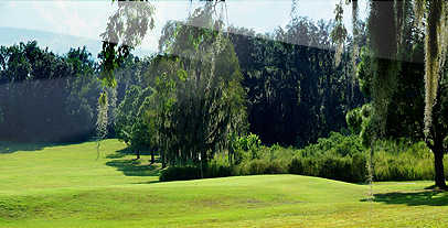 Abbey Course at St. Leo University - photo 2
