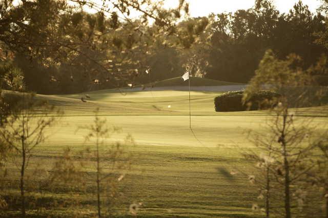 Windermere Country Club - photo 3