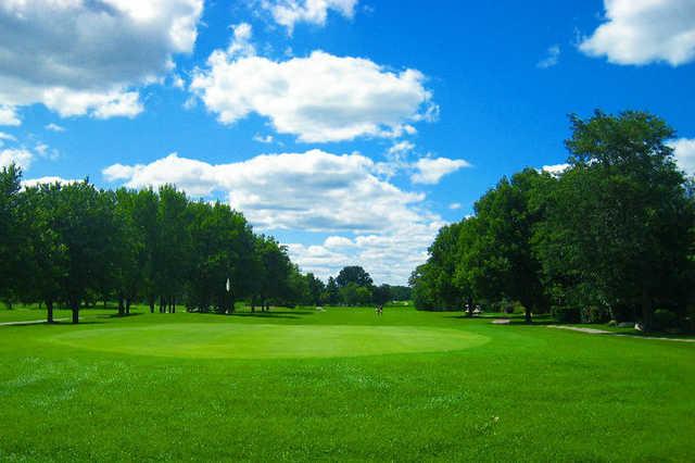 Carriage Greens Country Club - photo 5