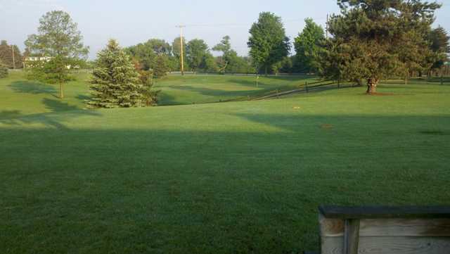 Huckleberry Creek - photo 2