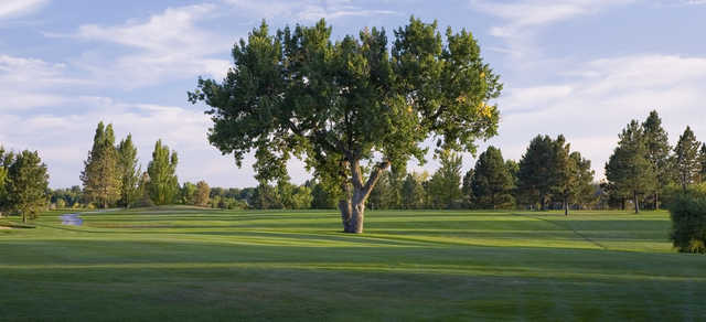 Hyland Hills Golf - Blue Course