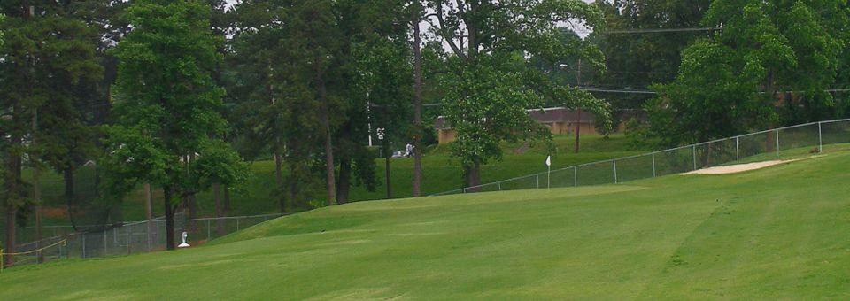 Gillespie Golf Course - photo 4