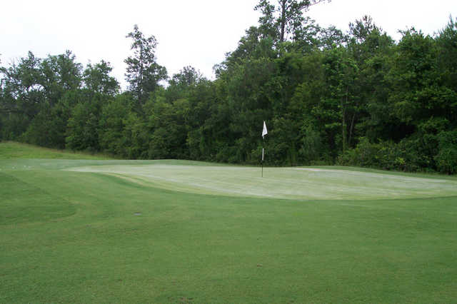 Hernando Oaks Golf and Country Club - photo 4