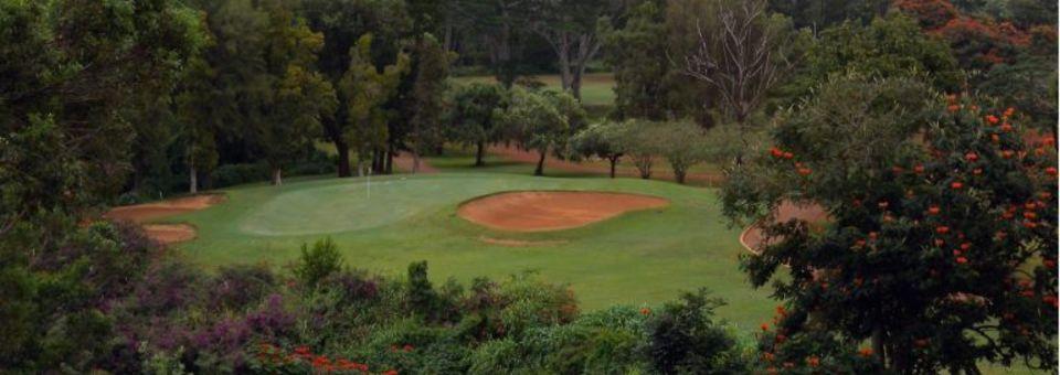 Mililani Golf Club - photo 4