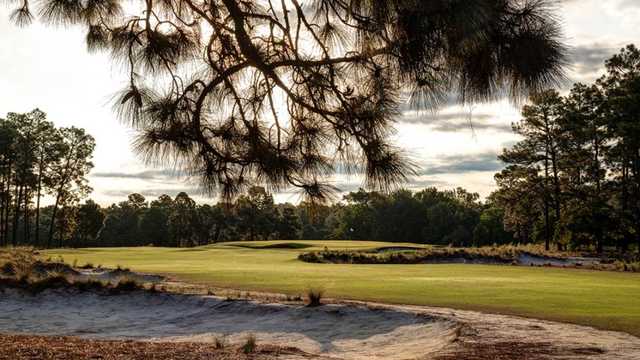 Pinehurst Resort & Country Club - #2 Course - photo 4