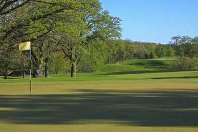 Dubuque Golf & Country Club - photo 3
