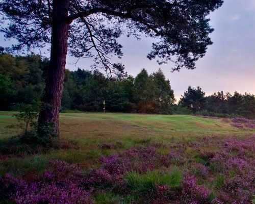 Crowborough Beacon Golf Club - photo 5
