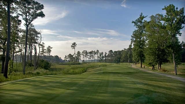 Bayside Resort Golf Club - photo 4