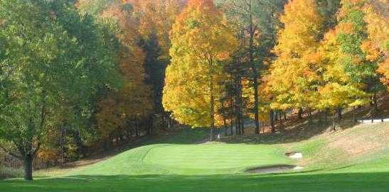 Springville Country Club Inc - photo 3