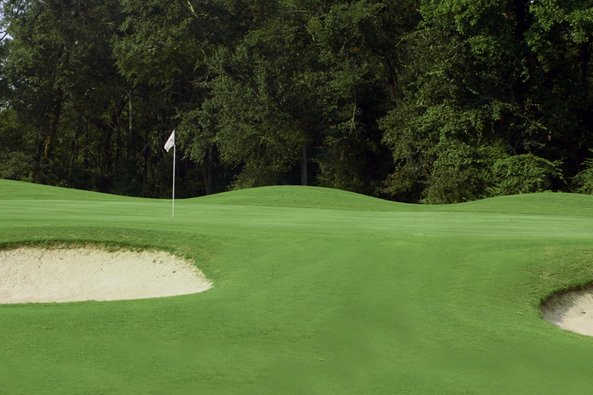 Griffin Bell Golf Course - photo 2
