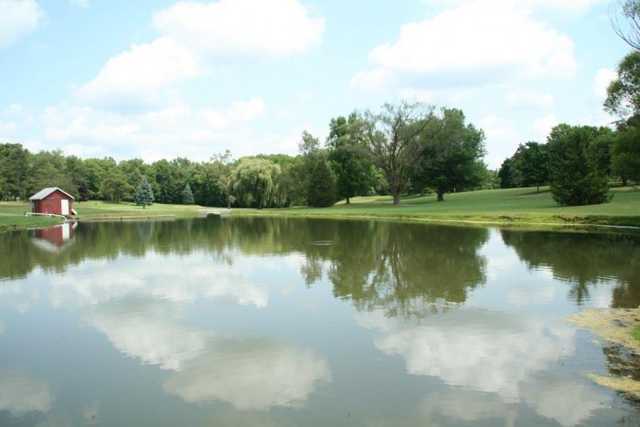 Shady Hills Golf Course - photo 3