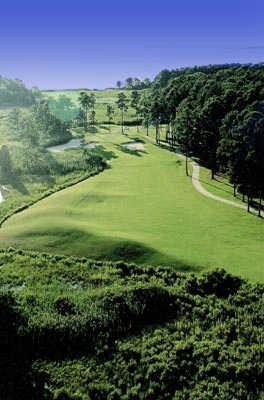 Swan Point Yacht & Country Club - photo 5