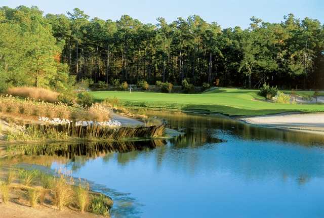 True Blue Plantation - photo 3