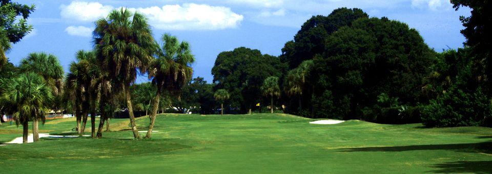 The Palms Golf Club at Forest Lakes - photo 5