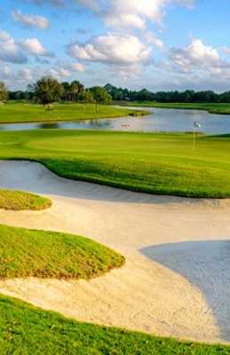 Old Palm Golf Club - photo 2