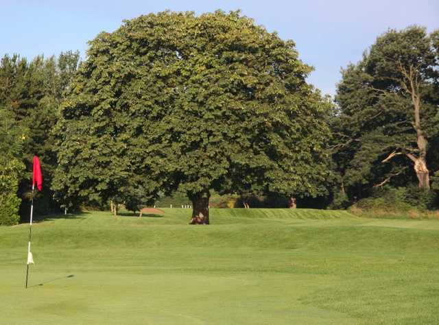 Eastham Lodge Golf Club - photo 3