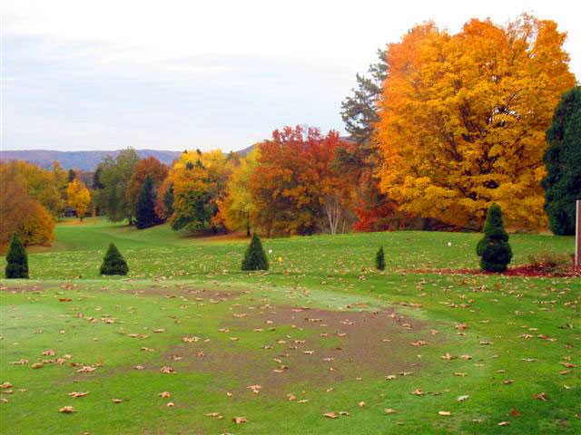Shepard Hills - photo 3