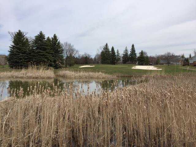 Maples Golf Club - photo 5