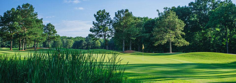 RiverPines Golf Course - photo 6
