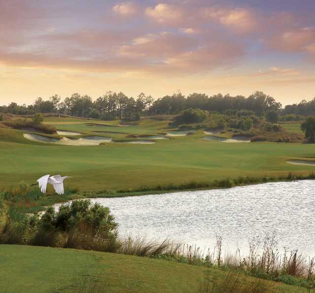 Barefoot Resort - Fazio