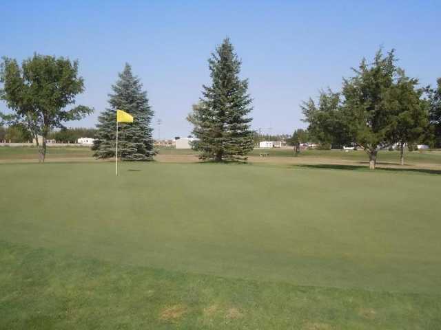 Taylor Memorial Golf Course - photo 2