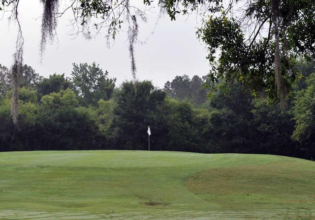 Pebble Creek Golf Club - photo 3