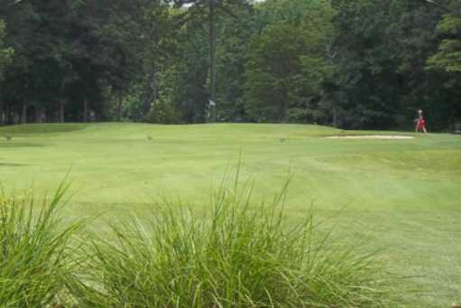 Pines at Clermont - photo 3