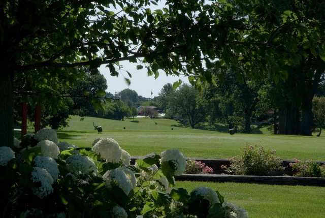 Timber Creek Golf - photo 3