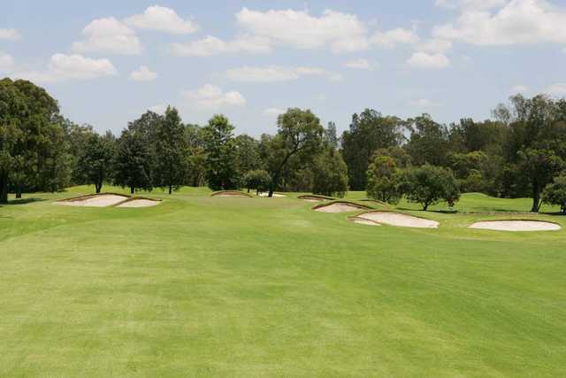 Bankstown Golf Club - photo 5