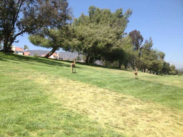 Sierra La Verne Country Club