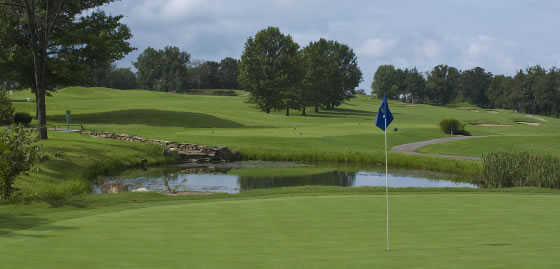 Holiday Hills Resort & Golf - photo 5