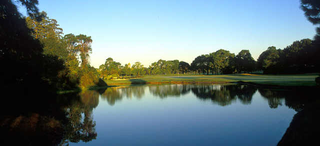 Lansbrook Golf Club - photo 4
