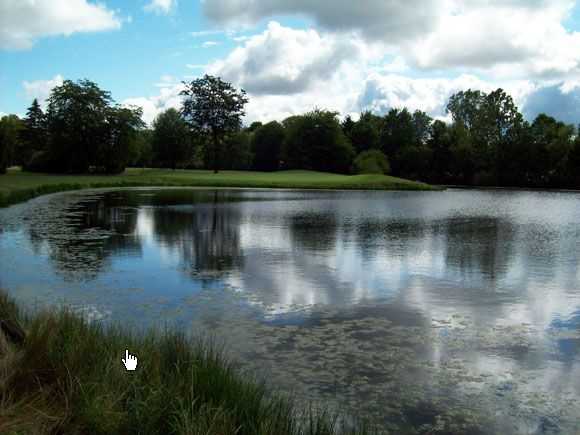Emerald Woods Golf Course - photo 6