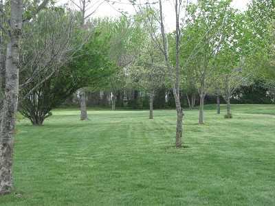 Blackberry Trails Golf Course - photo 3