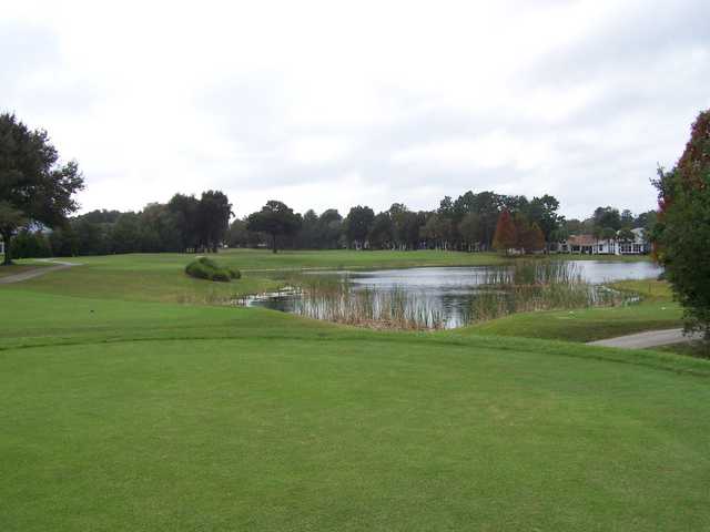 Royal Oaks - photo 2